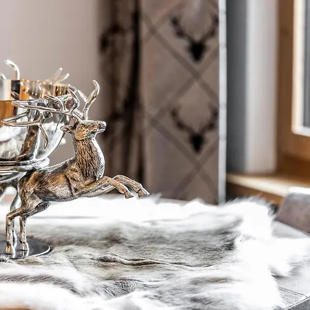Unique Alpic Style Apartment In The Heart Of Davos Exterior photo